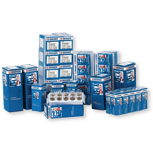 Assortiment 120 Ampoules 12 volts 